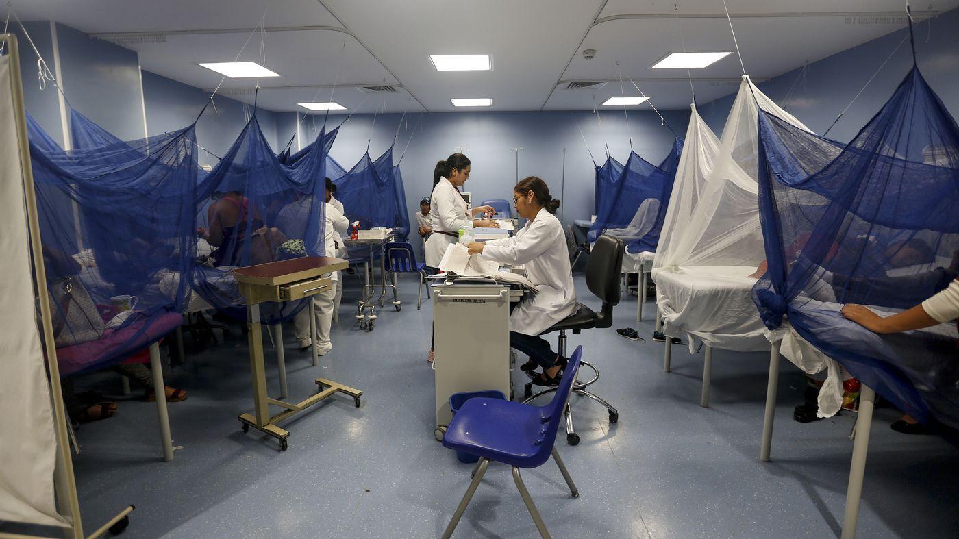 Аргентина борется с эпидемией денге и нехваткой репеллентов